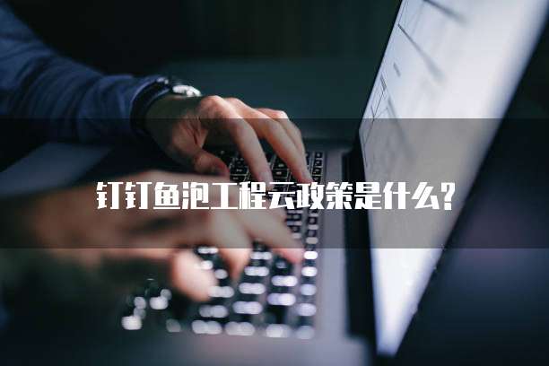 钉钉鱼泡工程云政策是什么?