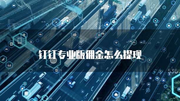 钉钉专业版佣金怎么提现