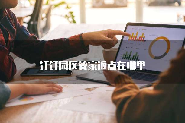 钉钉园区管家返点在哪里