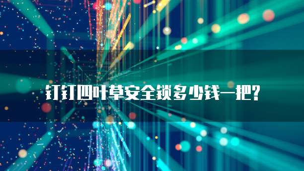 钉钉四叶草安全锁多少钱一把?