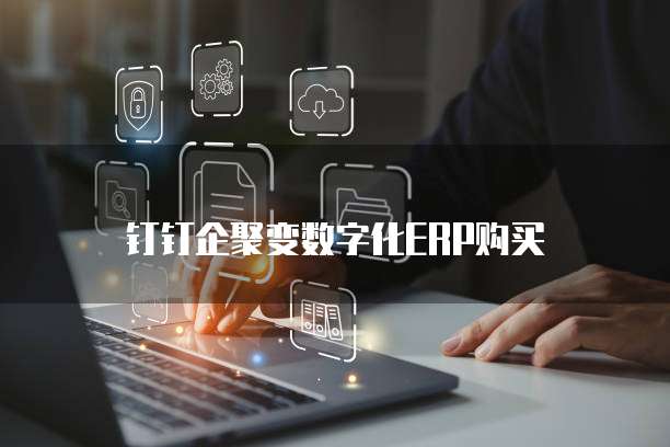 钉钉企聚变数字化ERP购买
