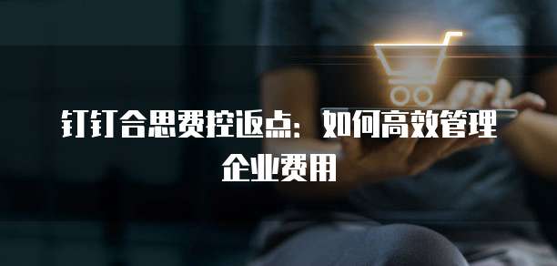钉钉合思费控返点:如何高效管理企业费用