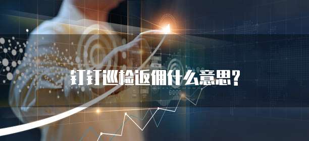 钉钉巡检返佣什么意思?