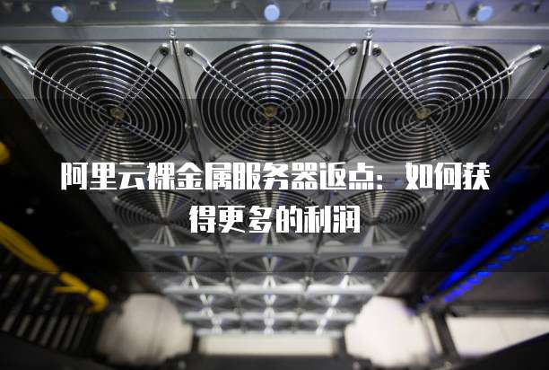 阿里云裸金属服务器返点:如何获得更多的利润