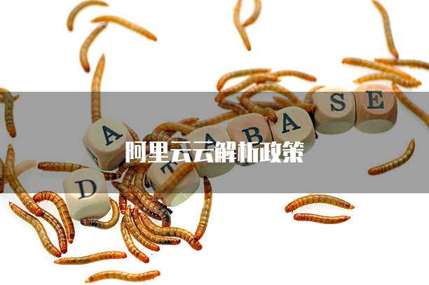 阿里云云解析政策