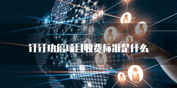 钉钉功倍项目收费标准是什么