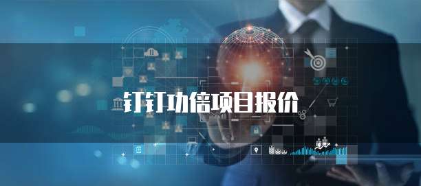钉钉功倍项目报价