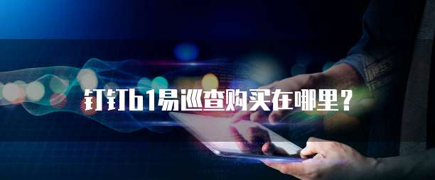钉钉b1易巡查购买在哪里？