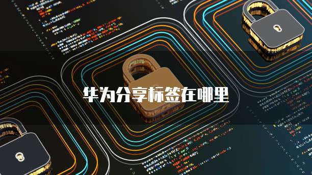 阿里云轻量服务器登录密码是多少号啊？如何修改？