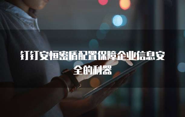钉钉安恒密盾配置保障企业信息安全的利器
