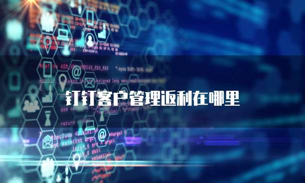 钉钉客户管理返利在哪里