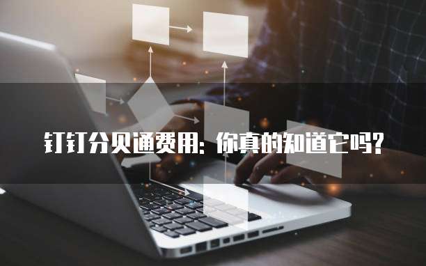 钉钉分贝通费用: 你真的知道它吗?