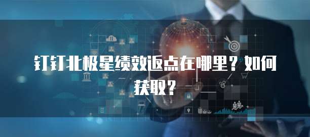 钉钉北极星绩效返点在哪里?如何获取?