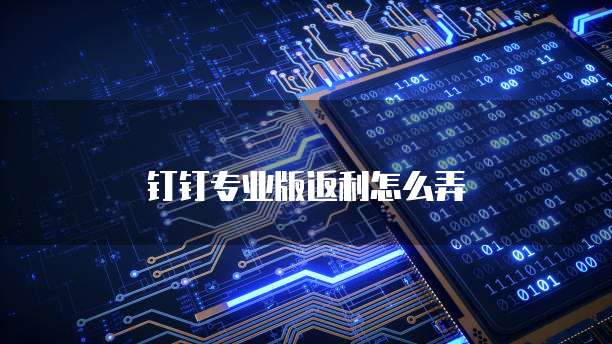 钉钉专业版返利怎么弄