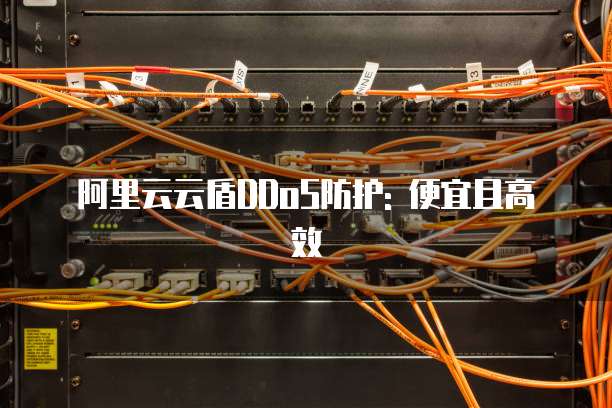 阿里云云盾DDoS防护: 便宜且高效