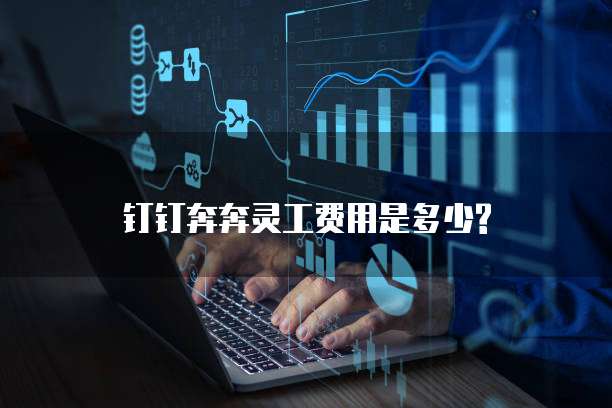 钉钉奔奔灵工费用是多少?
