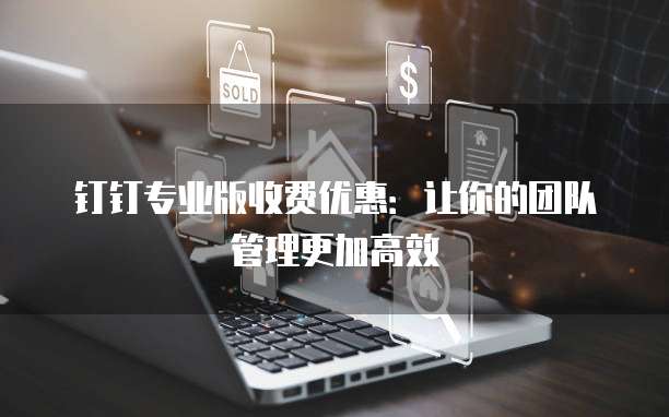 钉钉专业版收费优惠:让你的团队管理更加高效