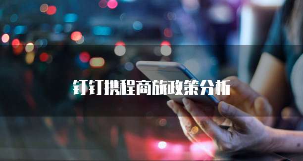 钉钉携程商旅政策分析