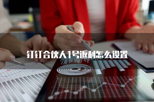钉钉合伙人1号返利怎么设置