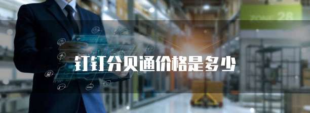 钉钉分贝通价格是多少