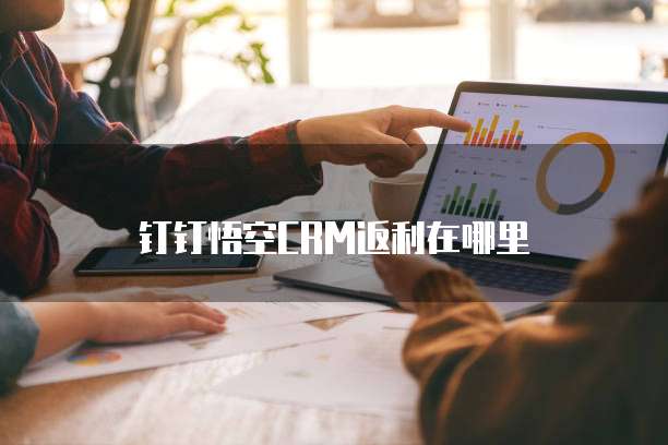 钉钉悟空CRM返利在哪里