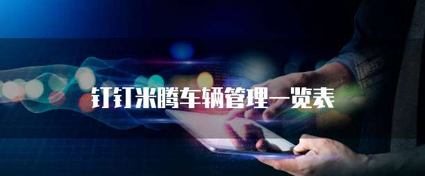 钉钉米腾车辆管理一览表