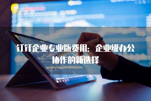 钉钉企业专业版费用：企业级办公协作的新选择