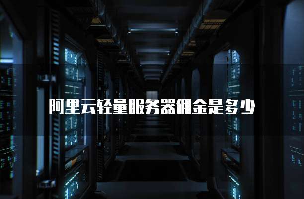 阿里云轻量服务器佣金是多少