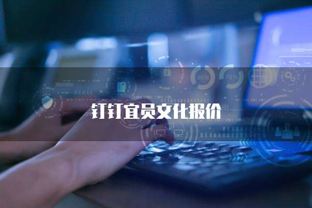 钉钉宜员文化报价