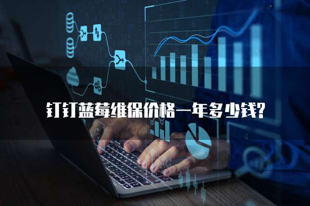 钉钉蓝莓维保价格一年多少钱?
