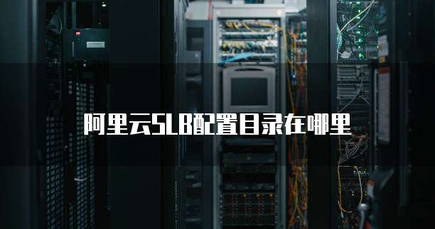 阿里云SLB配置目录在哪里