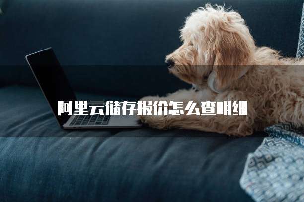 阿里云储存报价怎么查明细