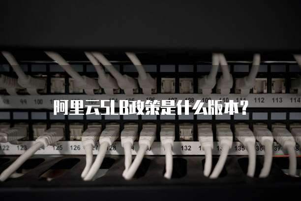 阿里云SLB政策是什么版本？