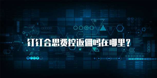 钉钉合思费控返佣吗在哪里?