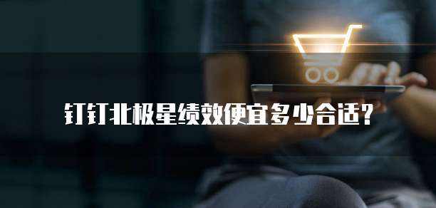 钉钉北极星绩效便宜多少合适?