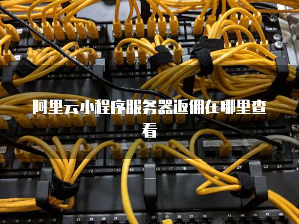 阿里云小程序服务器返佣在哪里查看