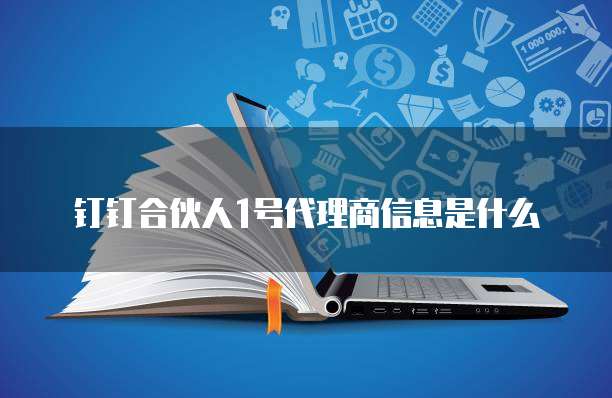 钉钉合伙人1号代理商信息是什么