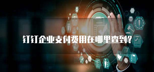 钉钉企业支付费用在哪里查到?