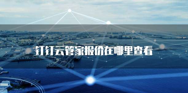 钉钉云管家报价在哪里查看