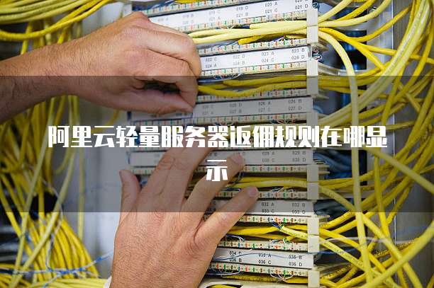 阿里云轻量服务器返佣规则在哪显示