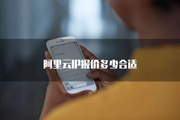 阿里云IP报价多少合适