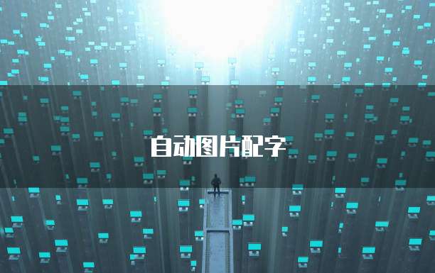 钉钉专业版个人购买在哪里设置权限管理