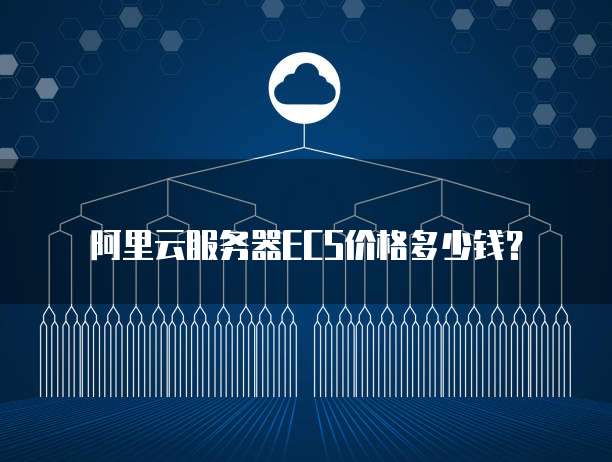阿里云服务器ECS价格多少钱?