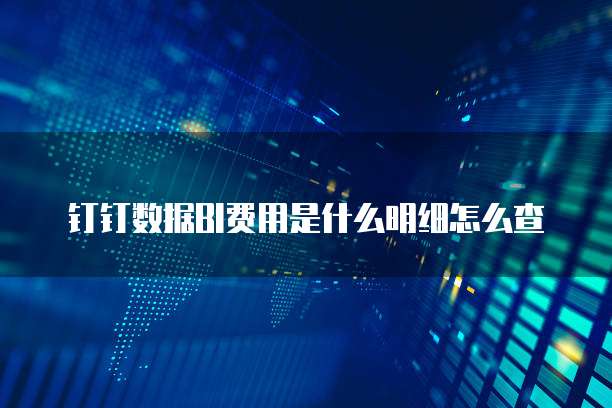 钉钉数据BI费用是什么明细怎么查