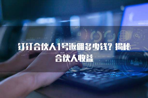 钉钉合伙人1号返佣多少钱?揭秘合伙人收益