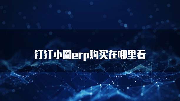 钉钉小圈erp购买在哪里看