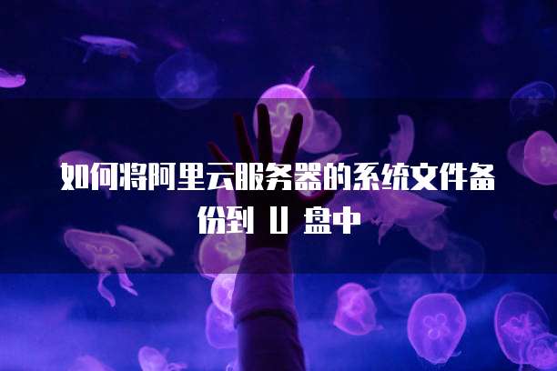 如何将阿里云服务器的系统文件备份到 U 盘中