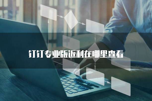 钉钉专业版返利在哪里查看
