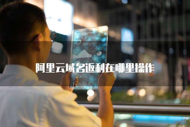阿里云域名返利在哪里操作