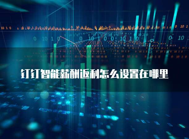 钉钉智能薪酬返利怎么设置在哪里